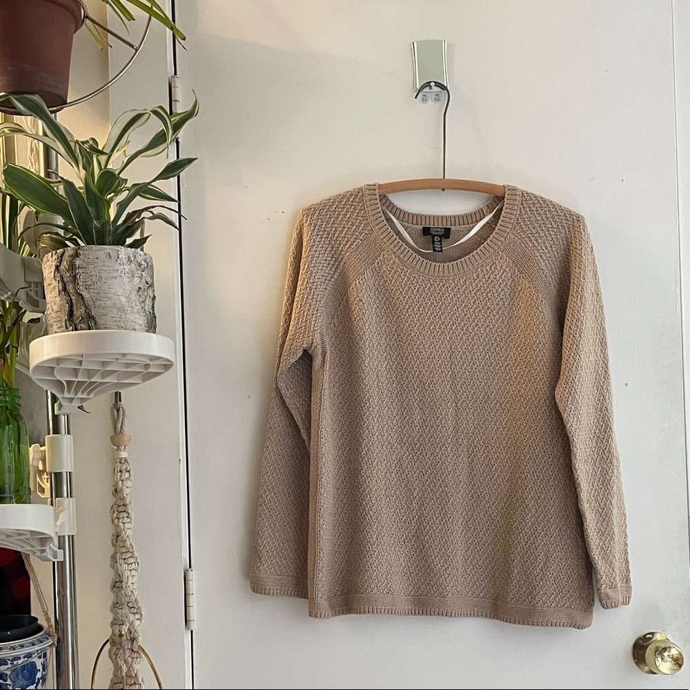 Jones New York Signature cream sweater